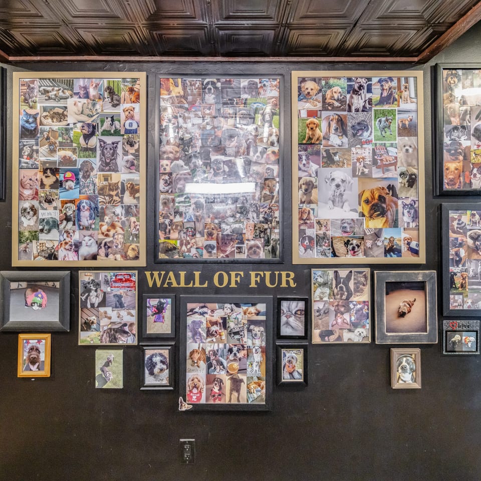 Restaurant wall displaying numerous framed collages of dogs and cats beneath a decorative tin ceiling.